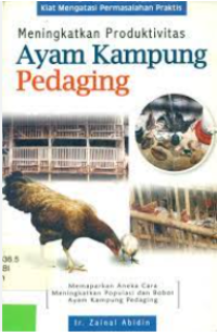 Image of Meningkatkan produktivitas ayam kampung pedaging